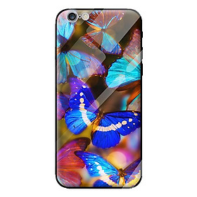 Ốp kính cường lực cho iPhone 6 bướm 20 - Hàng chính hãng