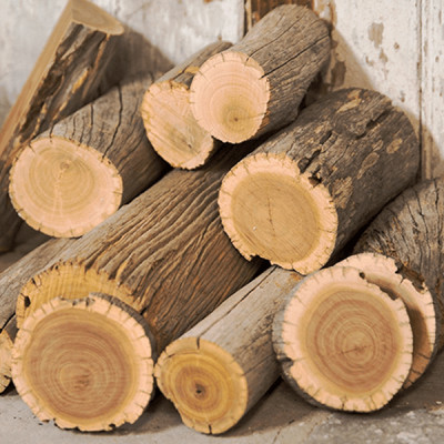 Tinh dầu gỗ Hoàng Đàn/ Tuyết Tùng (Cedarwood Essential Oil ) nguyên chất từ thiên nhiên, xông phòng, khử mùi, thơm phòng, đuổi muỗi - KingOil