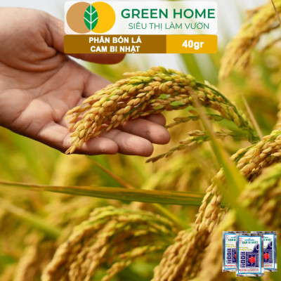 Phân Bón Lá Trung Vi Lượng CamBi Nhật, GreenHome,Gói 40Gr, Siêu Tăng Trưởng Cho Cây Trồng