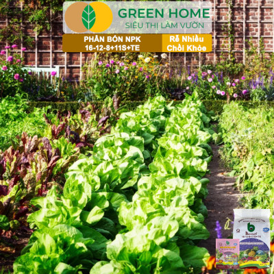 Phân bón NPK 16-12-8-11S+TE Greenhome, Better, Bao 1kg, Phát Triển Nhanh Thân, Cành, Lá, Bộ Rễ
