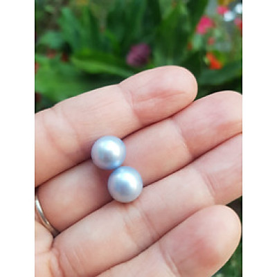 Đôi Bông Tai Ngọc Trai xanh dương nhẹ bóng đẹp 9mm  Size hạt 9mm ngọc trai cao cấp thiên nhiên mệnh Thủy Mộc   Nữ về bọc Vàng làm đôi bông tai vàng đeo cực kỳ xinh luôn ạ