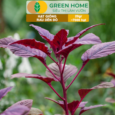 Hạt Giống Rau Dền Đỏ GreenHome, Gói 20gr~7000 hạt, Dễ Trồng Quanh Năm, Thu Hoạch Nhanh R24