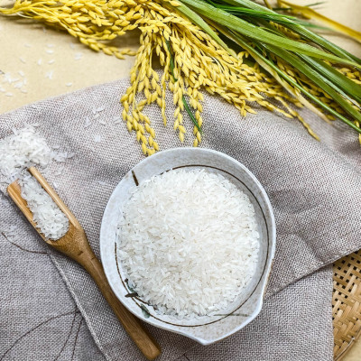 Gạo Hoa Lúa Xanh - Túi 5kg - Tơi xốp, mềm cơm, dẻo ít, thơm nhẹ