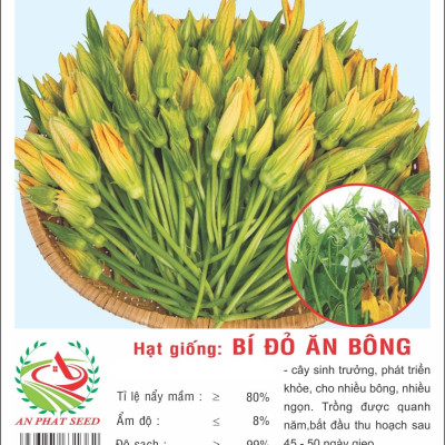 Hạt giống Bí ăn bông siêu bông nhiều nụ VTP146