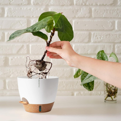 Chậu trồng cây tự tưới thông minh Monrovia A60 cho cây trong nhà và ngoài trời, decor, văn phòng