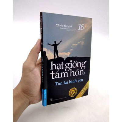 Sách - Hạt Giống Tâm Hồn 16 - Tìm Lại Bình Yên - First News