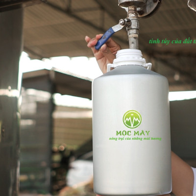 Tinh dầu Đinh hương 100ml nguyên chất từ thiên nhiên - Mộc Mây