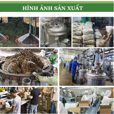 Tinh dầu gỗ Tuyết Tùng/Hoàng Đàn (Cedarwood Essential Oil ) nguyên chất từ thiên nhiên, xông phòng, khử mùi, thơm phòng, đuổi muỗi - KingOil