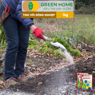 Tinh Vôi Nông Nghiệp Greenhome, Bao 1kg, Cải Tạo Đất, Sạch Nấm Bệnh, Bổ Sung Vi Lượng Giúp Lá To, Quả Nặng