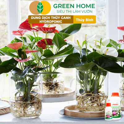 Dung Dịch Thủy Canh Greenhome, Lavamix, Phân Bón Cây Thuỷ Sinh, Hoa Sen, An Toàn Cho Cá, Tép Cảnh