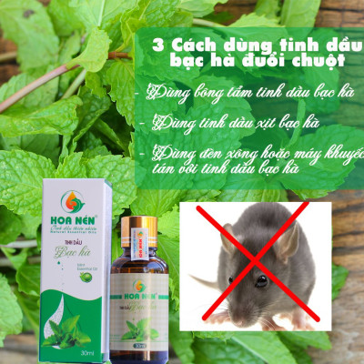 Tinh dầu Bạc Hà nguyên chất 100ml - Hoa Nén - Vegan - The mát, thư giãn, đuổi chuột