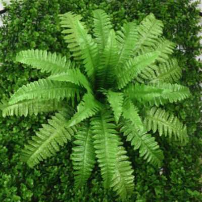 Dương xỉ trang trí - Dài 25cm - Đường kính 50cm - Cây giả, hoa lụa Decor trang trí nhà cửa