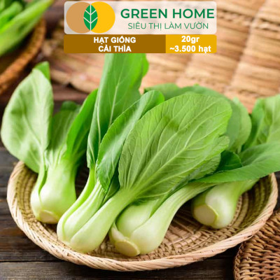 Hạt Giống Rau Cải Thìa Greenhome, Gói 20g~3500 hạt, Dễ Trồng Quanh Năm, Nảy Mầm Cao, Thu Hoạch Nhanh, Năng Suất Cao R08