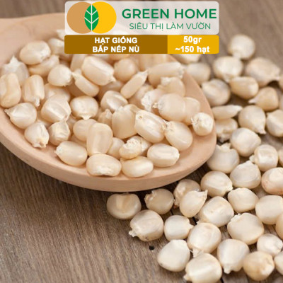Hạt Giống Bắp Nếp Nù, Greenhome, Gói 50GR~150 hạt, Dễ Trồng Quanh Năm, Nảy Mầm Cao, T33