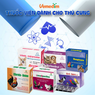 Vemedim Strychnal B1 dùng cho gà đá chống suy nhược, kích thích thần kinh, chai 10ml