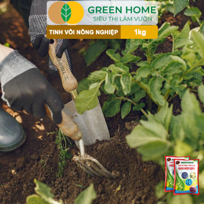Tinh Vôi Nông Nghiệp Greenhome, Bao 1kg, Cải Tạo Đất, Sạch Nấm Bệnh, Bổ Sung Vi Lượng Giúp Lá To, Quả Nặng