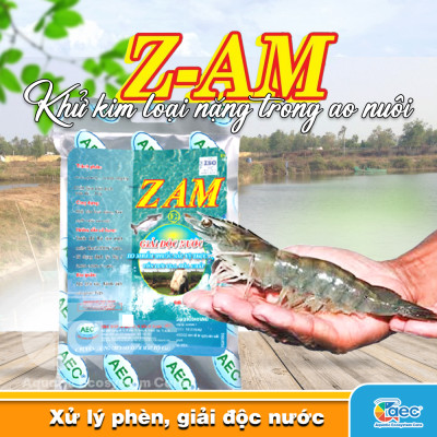 Z AM - Giải pháp xử lý cải thiện chất lượng nước ao nuôi tôm cá