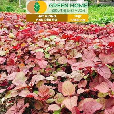 Hạt Giống Rau Dền Đỏ GreenHome, Gói 20gr~7000 hạt, Dễ Trồng Quanh Năm, Thu Hoạch Nhanh R24