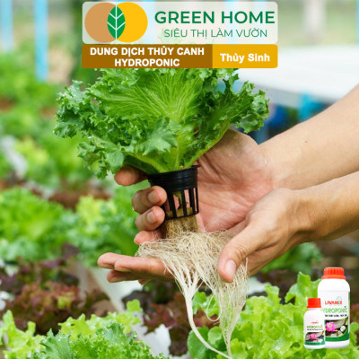 Dung Dịch Thủy Canh Greenhome, Lavamix, Phân Bón Cây Thuỷ Sinh, Hoa Sen, An Toàn Cho Cá, Tép Cảnh