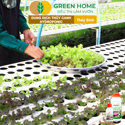 Dung Dịch Thủy Canh Greenhome, Lavamix, Phân Bón Cây Thuỷ Sinh, Hoa Sen, An Toàn Cho Cá, Tép Cảnh