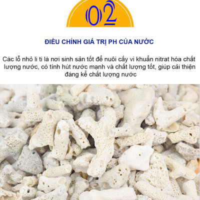 6KG San Hô Vụn vật liệu lọc hồ cá, trang trí bể cá, hồ thủy sinh cao cấp 