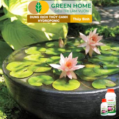 Dung Dịch Thủy Canh Greenhome, Lavamix, Phân Bón Cây Thuỷ Sinh, Hoa Sen, An Toàn Cho Cá, Tép Cảnh