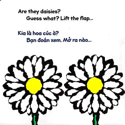 Lật Giở Song Ngữ - Hoa Gì Thế - Bìa Cứng