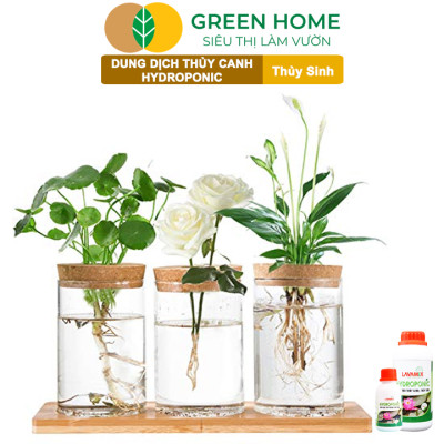 Dung Dịch Thủy Canh Greenhome, Lavamix, Phân Bón Cây Thuỷ Sinh, Hoa Sen, An Toàn Cho Cá, Tép Cảnh