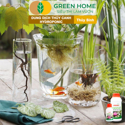 Dung Dịch Thủy Canh Greenhome, Lavamix, Phân Bón Cây Thuỷ Sinh, Hoa Sen, An Toàn Cho Cá, Tép Cảnh