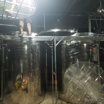 Tinh dầu Khuynh Diệp (bạch đàn) 10ml nguyên chất từ thiên nhiên - Mộc Mây