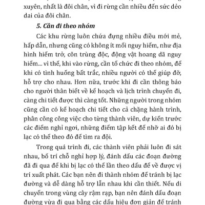 Phòng Tránh Tai Nạn Khi Dã Ngoại - Vietnambook
