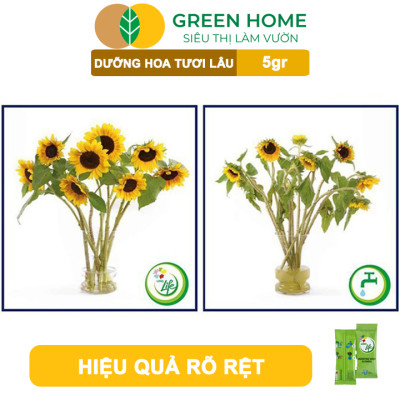 Dưỡng Hoa Tươi Lâu Greenhome, Longlife, Phân Bón Cho Hoa Cắt Cành, Gói 5gr, Lâu Tàn, Nở Bông To, Không Bị Hôi Nước
