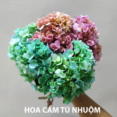 Gói thuốc Bột Nhuộm Hoa Tươi nhập khẩu PREMIUM nhuộm trên 250 cành hoa, 1 gói pha 1.5L màu Công Nghệ Israel cải tiến Thế Hệ Mới