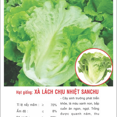 Hạt giống Xà lách chịu nhiệt SANCHU VTP135