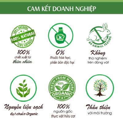 Tinh dầu Cỏ Xạ Hương (Thyme Essential Oil) 50ml nguyên chất từ thiên nhiên - KingOil