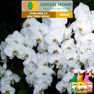 Bộ 3 Phân Bón Lá Đầu Trâu Spray 1, 2, 3 Greenhome, Bình Điền, Chai 500ml, Cao Cấp, Chuyên Cho Hoa Kiểng