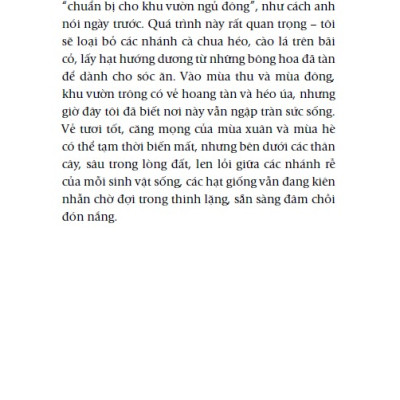 Hạt Giống Tâm Hồn - Nắng Ấm Sau Mưa 