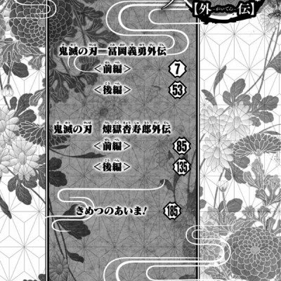Demon Slayer: Kimetsu No Yaiba Side Stories (Japanese Edition)