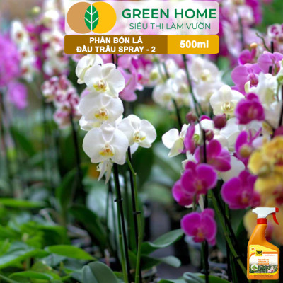 Phân Bón Lá Đầu Trâu Spray-2 Greenhome, Bình Điền, Chai 500ml, Kích Thích Ra Hoa, Chuyên Lan Và Hoa