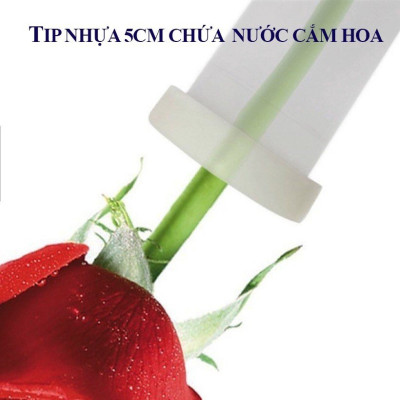 TIP NHỰA HOA LAN CHỨA NƯỚC CẮM HOA 5CM (1 TÚI 100 CÁI) GIÚP HOA TƯƠI LÂU VÀ VƯỢT QUA VẬN CHUYỂN HOA ĐI XA