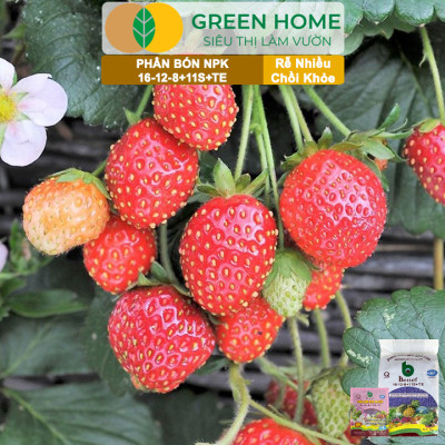 Phân bón NPK 16-12-8-11S+TE Greenhome, Better, Bao 1kg, Phát Triển Nhanh Thân, Cành, Lá, Bộ Rễ