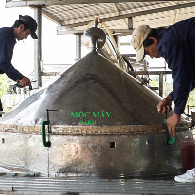 Tinh dầu vỏ bưởi da xanh Mộc Mây - tinh dầu nguyên chất từ thiên nhiên - chất lượng và mùi hương vượt trội