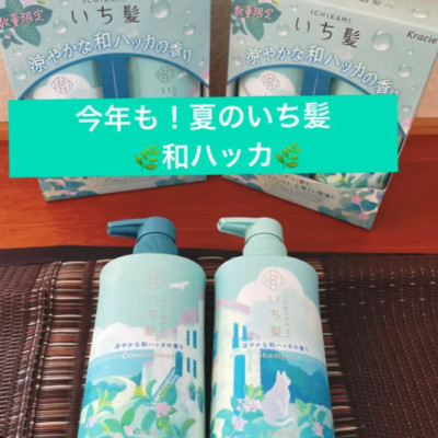 Combo Dầu Gội Và Dầu Xả Kracie Ichikami Dưỡng Tóc Chắc Khoẻ Hương Bạc Hà (480ML)