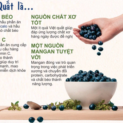 Trái Việt Quất Khô Tự Nhiên Hiệu Snow Farms Nhập khẩu Từ Canada Đồ Ăn Vặt - 40g