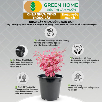 Bộ 3 Chậu nhựa trồng cây, nhiều kích thước, thoát nước tốt, đa dạng kích thước trồng cây, hoa, kiểng lá |Greenhome